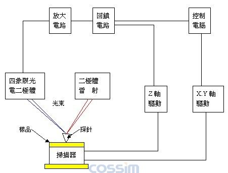 原子力顯微鏡（AFM）的結(jié)構(gòu)示意圖